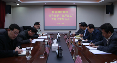 陜西糧農(nóng)集團(tuán)黨委召開“三嚴(yán)三實”專題民主生活會